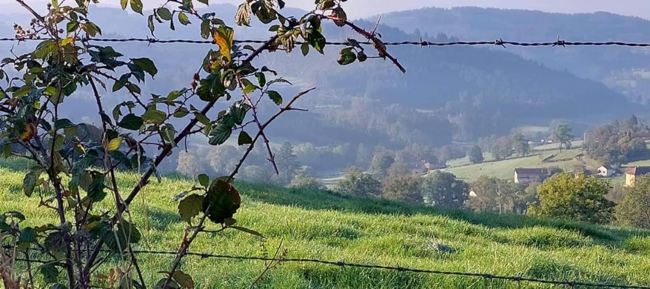 La Mazille , cossy vakantiestudio met zwembad in zuid-Bourgogne Anglure-sous-Dun Buitenkant foto